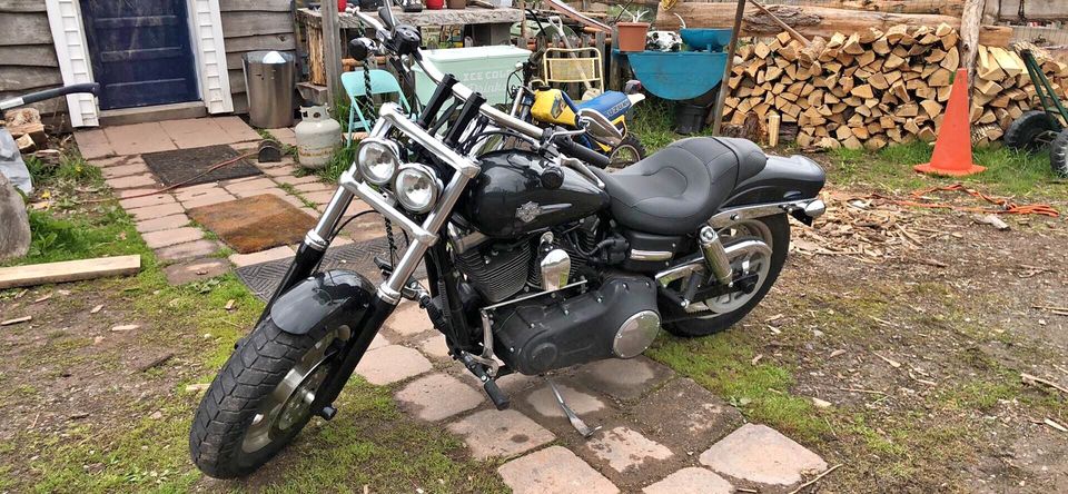 2009 Harley-Davidson fat bob - Image 2