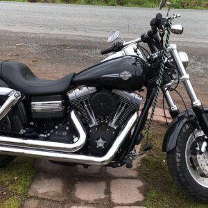 2009 Harley-Davidson fat bob